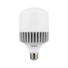LED High Power 40W Screw type bulb