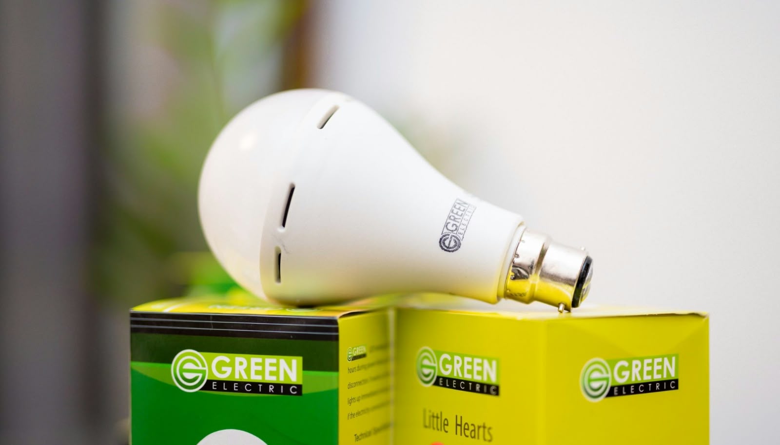 Emergency LED Bulb-Green-12W-E27 (Screw Type)-Warm White-3000K
